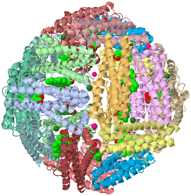 Image Biological Unit 1