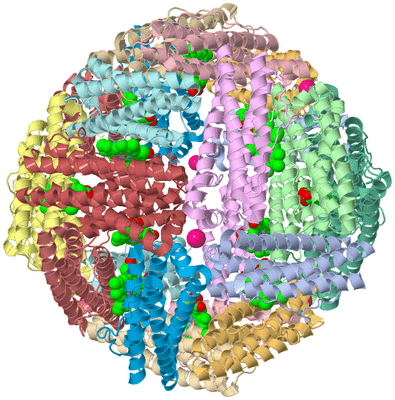 Image Biological Unit 1