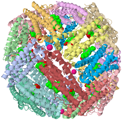 Image Biological Unit 1