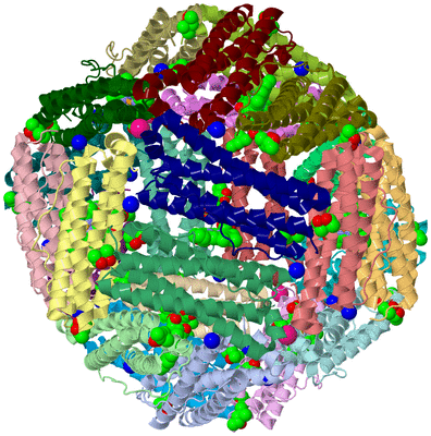 Image Asym./Biol. Unit