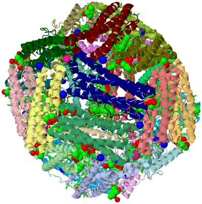 Image Asym./Biol. Unit - sites