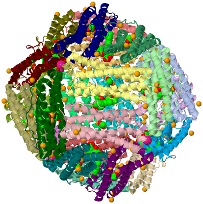 Image Asym./Biol. Unit