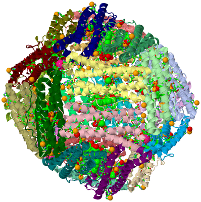 Image Asym./Biol. Unit - sites