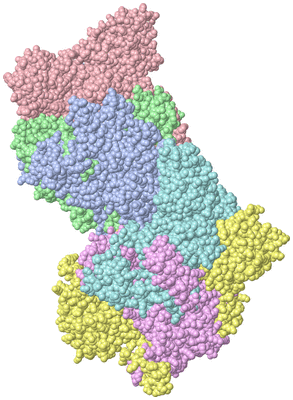 Image Asymmetric Unit
