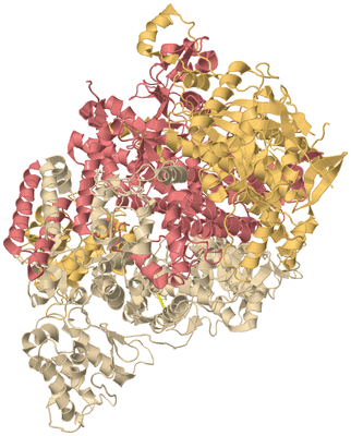 Image Biological Unit 3