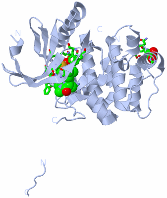 Image Biol. Unit 1 - sites