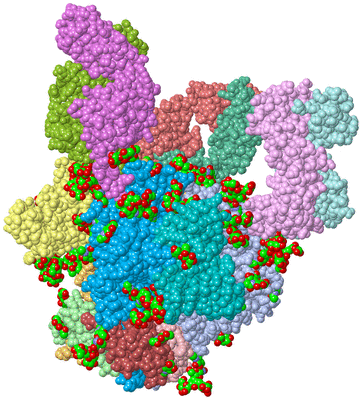 Image Asym./Biol. Unit