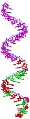 Image Asymmetric Unit