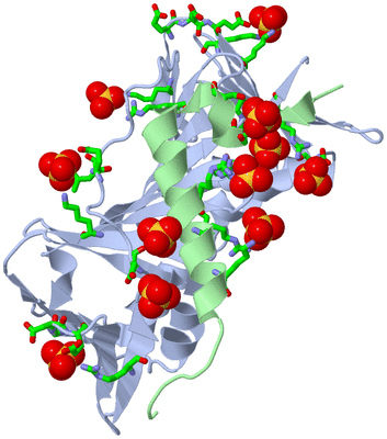 Image Biol. Unit 1 - sites