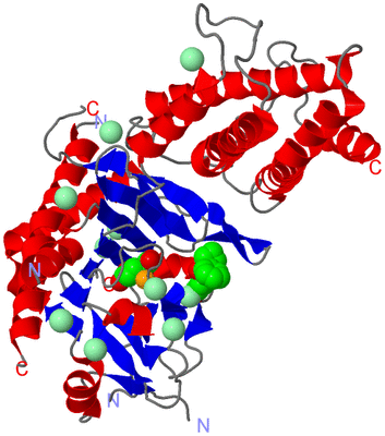 Image Asym./Biol. Unit