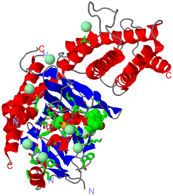 Image Asym./Biol. Unit - sites