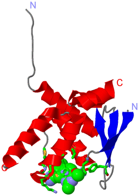 Image Asym. Unit - sites