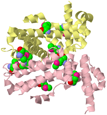Image Biological Unit 2