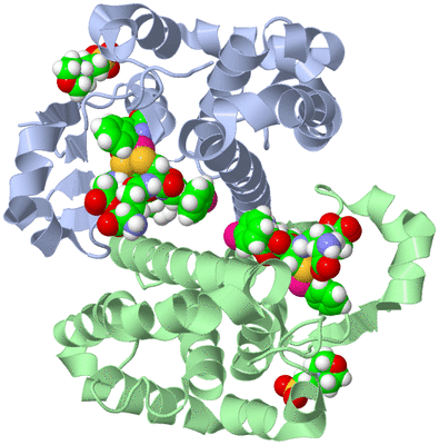 Image Asym./Biol. Unit