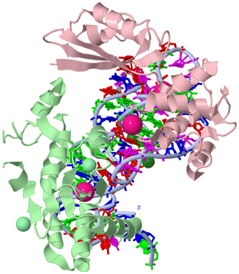 Image Biological Unit 1