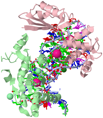 Image Biol. Unit 1 - sites