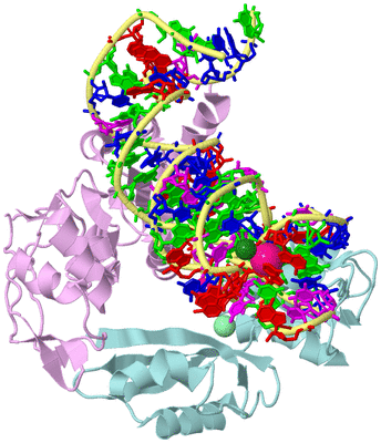 Image Biological Unit 2