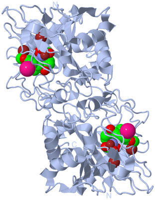 Image Biological Unit 1