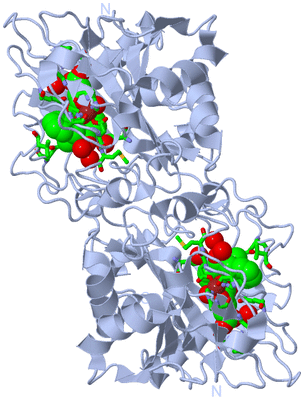 Image Biol. Unit 1 - sites