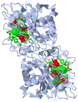 Image Biol. Unit 1 - sites