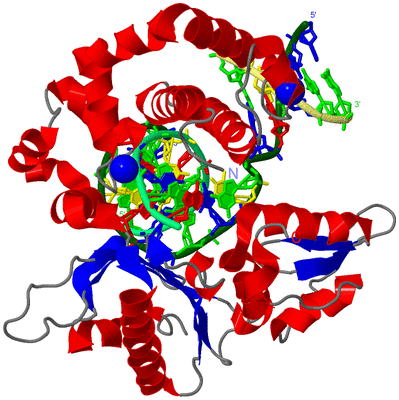 Image Asym./Biol. Unit