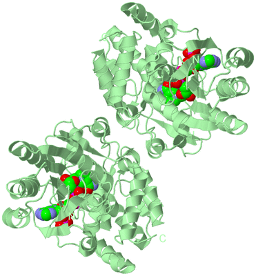 Image Biological Unit 2