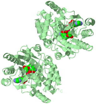 Image Biological Unit 2