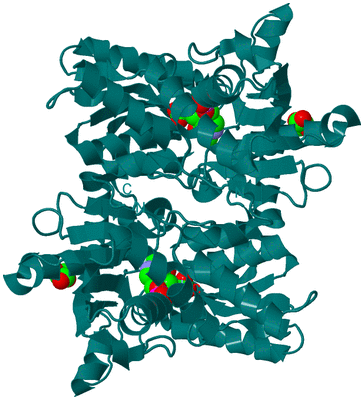 Image Biological Unit 1