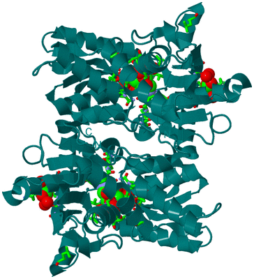 Image Biol. Unit 1 - sites