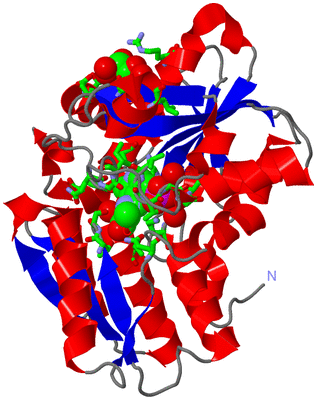 Image Asym. Unit - sites