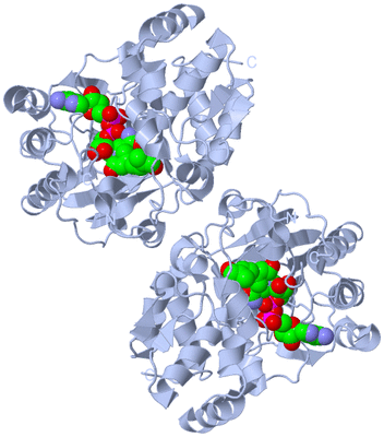 Image Biological Unit 1