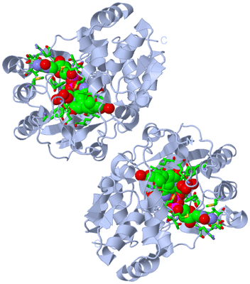 Image Biol. Unit 1 - sites