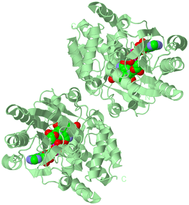 Image Biological Unit 2