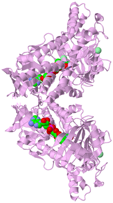 Image Biological Unit 1