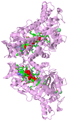 Image Biol. Unit 1 - sites