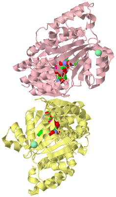 Image Biological Unit 3