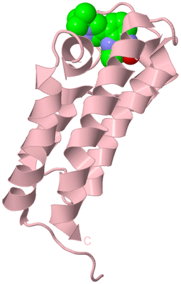 Image Biological Unit 3