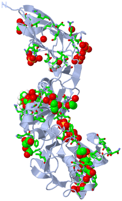 Image Biol. Unit 1 - sites