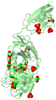 Image Biological Unit 2