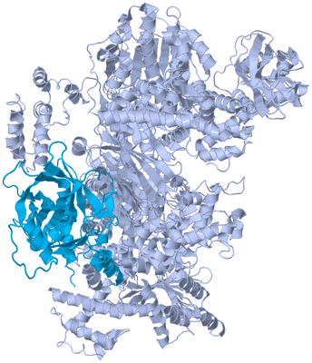 Image Asym./Biol. Unit