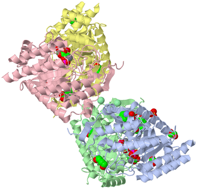 Image Asym./Biol. Unit