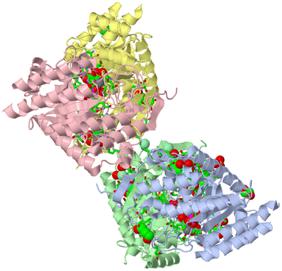 Image Asym./Biol. Unit - sites