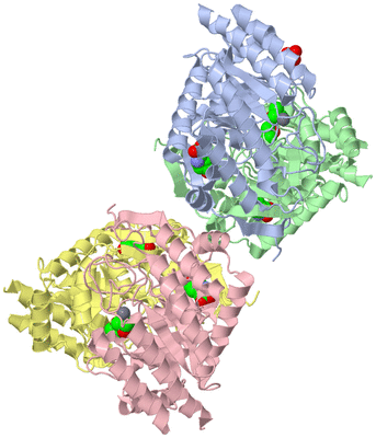 Image Asym./Biol. Unit