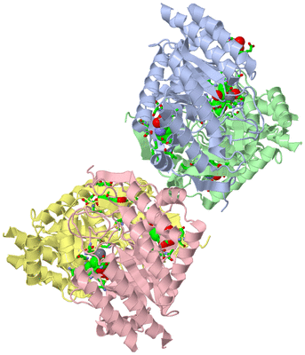 Image Asym./Biol. Unit - sites