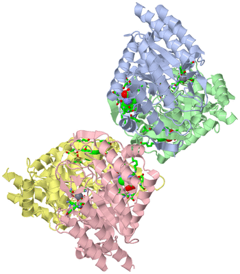 Image Asym./Biol. Unit - sites