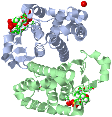 Image Asym./Biol. Unit - sites