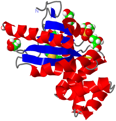 Image Asym./Biol. Unit