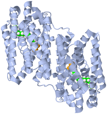 Image Biological Unit 1