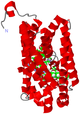 Image Asym. Unit - sites