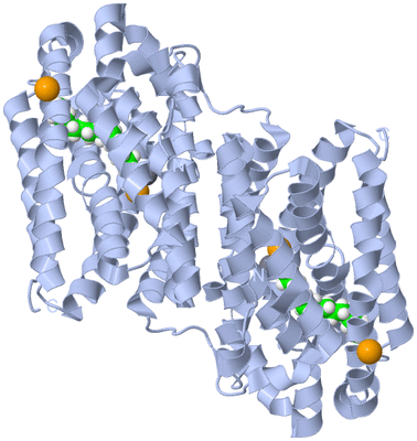 Image Biological Unit 1